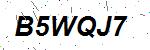CAPTCHA verification image containing distorted text characters