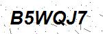 CAPTCHA verification image containing distorted text characters
