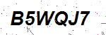 CAPTCHA verification image containing distorted text characters