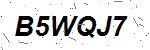 CAPTCHA verification image containing distorted text characters