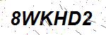 CAPTCHA verification image containing distorted text characters
