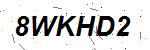 CAPTCHA verification image containing distorted text characters