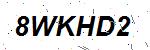 CAPTCHA verification image containing distorted text characters