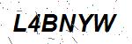 CAPTCHA verification image containing distorted text characters
