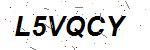 CAPTCHA verification image containing distorted text characters