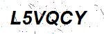 CAPTCHA verification image containing distorted text characters