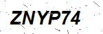CAPTCHA verification image containing distorted text characters