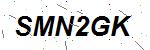 CAPTCHA verification image containing distorted text characters