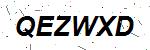 CAPTCHA verification image containing distorted text characters