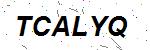 CAPTCHA verification image containing distorted text characters