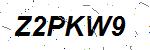 CAPTCHA verification image containing distorted text characters