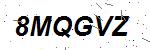 CAPTCHA verification image containing distorted text characters