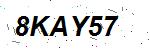 CAPTCHA verification image containing distorted text characters