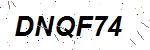 CAPTCHA verification image containing distorted text characters