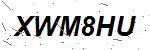 CAPTCHA verification image containing distorted text characters