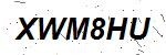 CAPTCHA verification image containing distorted text characters