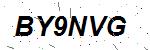 CAPTCHA verification image containing distorted text characters
