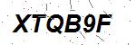 CAPTCHA verification image containing distorted text characters
