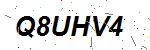 CAPTCHA verification image containing distorted text characters