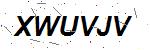 CAPTCHA verification image containing distorted text characters