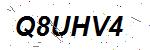 CAPTCHA verification image containing distorted text characters