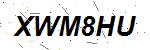 CAPTCHA verification image containing distorted text characters