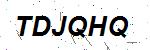 CAPTCHA verification image containing distorted text characters