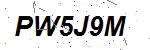 CAPTCHA verification image containing distorted text characters