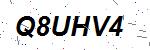 CAPTCHA verification image containing distorted text characters
