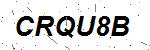 CAPTCHA verification image containing distorted text characters