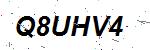 CAPTCHA verification image containing distorted text characters