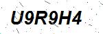 CAPTCHA verification image containing distorted text characters