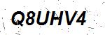 CAPTCHA verification image containing distorted text characters