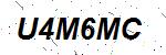 CAPTCHA verification image containing distorted text characters