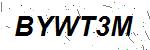 CAPTCHA verification image containing distorted text characters