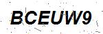 CAPTCHA verification image containing distorted text characters