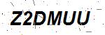 CAPTCHA verification image containing distorted text characters