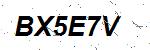 CAPTCHA verification image containing distorted text characters