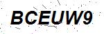 CAPTCHA verification image containing distorted text characters