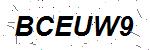 CAPTCHA verification image containing distorted text characters