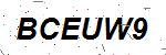 CAPTCHA verification image containing distorted text characters