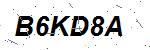 CAPTCHA verification image containing distorted text characters