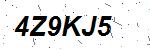 CAPTCHA verification image containing distorted text characters