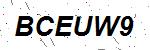 CAPTCHA verification image containing distorted text characters