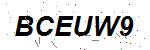 CAPTCHA verification image containing distorted text characters