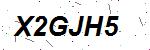 CAPTCHA verification image containing distorted text characters