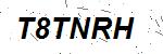 CAPTCHA verification image containing distorted text characters