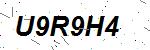 CAPTCHA verification image containing distorted text characters