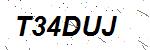 CAPTCHA verification image containing distorted text characters