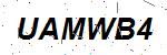 CAPTCHA verification image containing distorted text characters